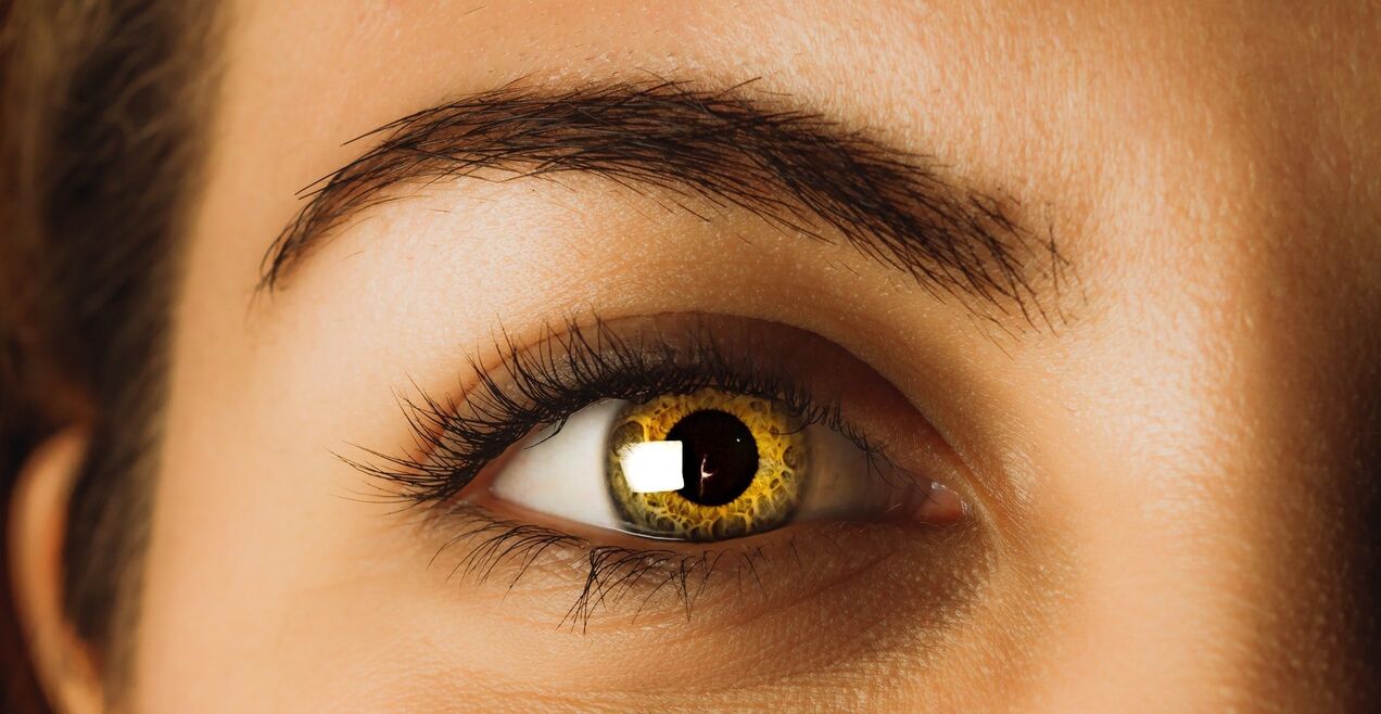 Os olhos são um órgão importante que requer tratamento cuidadoso.